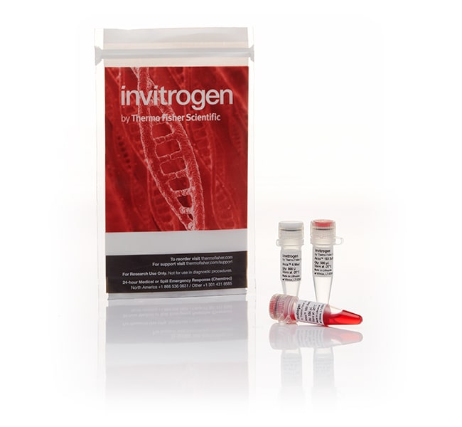 Thermo Fisher Scientific Anza 9 NdeI, 3000 units