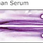 Merck ANTI-HUMAN WHOLE SERUM DEVELOPED IN GOA&