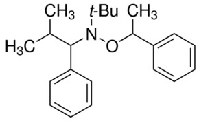 Merck N-TERT-BUTYL-N-(2-METHYL-1-PHENYLPROPYL&