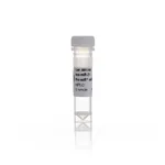Thermo Fisher Scientific Pre-miR miRNA Precursor, 5 nmol