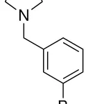 Merck 3-(1-pyrrolidinylmethyl)phenylboronic acid