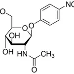 Merck 4-NITROPHENYL N-ACETYL-BETA-D-GLUCOSAMI&