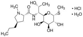 Merck LINCOMYCIN HYDROCHLORIDE