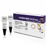 Thermo Fisher Scientific GeneRuler DNA Ladder Mix, ready-to-use