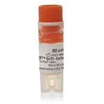 Thermo Fisher Scientific Expi293F GnTI- Cells