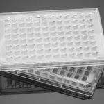 Corning® BioCoat™ (Fibronectin) Angiogenesis Systems: Endothelial Cell Migration, FluoroBlok™ PET Membrane