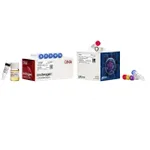 Thermo Fisher Scientific Bac-to-Bac HBM TOPO Cloning Kit