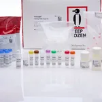 Thermo Fisher Scientific FISH Tag DNA Orange Kit, with Alexa Fluor 555 dye