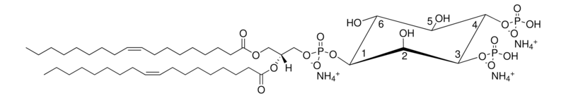 Merck 18:1 PI(3,4)P2