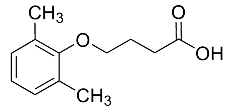 Merck 4-(2,6-Dimethylphenoxy)butanoic acid