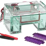 Thermo Fisher Scientific Owl EasyCast B1A Mini Gel Electrophoresis System with Buffer Exchange Ports