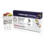 Thermo Fisher Scientific BspOI (BmtI) (10 U/μL)