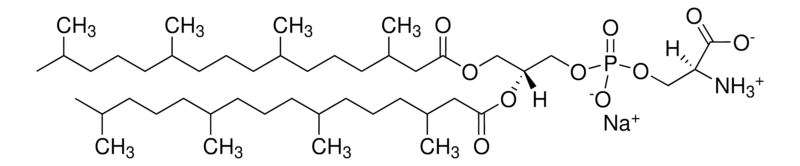 Merck 4ME 16:0 PS