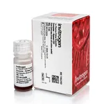 Thermo Fisher Scientific Exosome-Human CD9 Flow Detection Reagent (from cell culture)