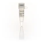 Thermo Fisher Scientific Random Hexamer Primer