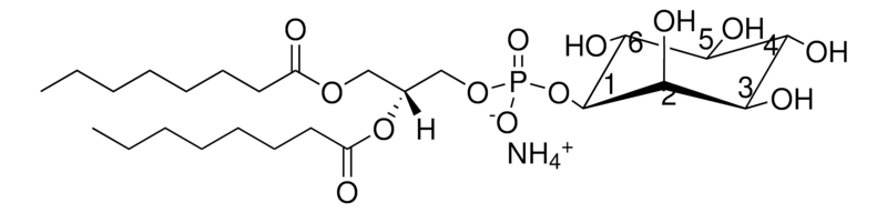 Merck 08:0 PI
