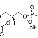 Merck 08:0 PI