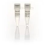 Thermo Fisher Scientific Endonuclease IV, E.coli (2 U/μL)