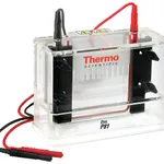 Thermo Fisher Scientific Owl P81 Single-Sided Vertical Electrophoresis System, 10 x 10cm gel size, 150mL buffer volume