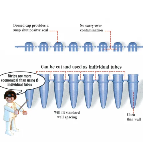 SIMPORT PCR Reaction Strips