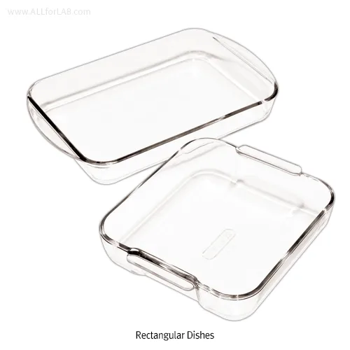 Scilabware Rectangular Dish