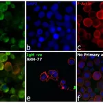 Thermo Fisher Scientific Goat anti-Human IgM Secondary Antibody