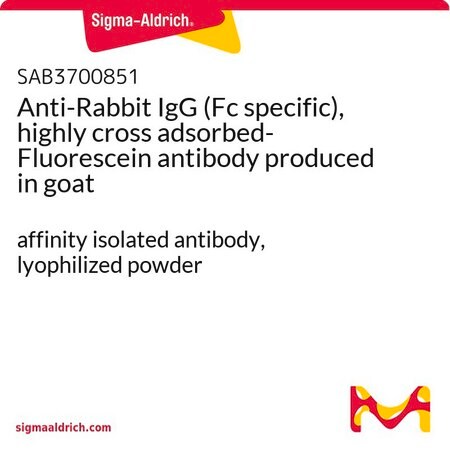 Merck Anti-Rabbit IgG (Fc specific), highly cross adsorbed-Fluorescein antibody produced in goat