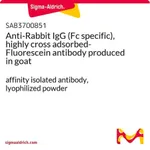 Merck Anti-Rabbit IgG (Fc specific), highly cross adsorbed-Fluorescein antibody produced in goat