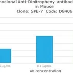 Merck MONOCLONAL ANTI-DINITROPHENYL ANTIBODY&