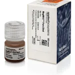 Thermo Fisher Scientific MagMAX Pure Bind Beads, 5 mL