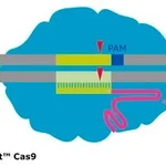 Merck PUREDIT CAS9