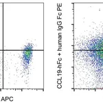 Thermo Fisher Scientific Goat anti-Human IgG Fc Secondary Antibody, PE, eBioscience