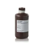 Thermo Fisher Scientific SYPRO Ruby Protein Blot Stain