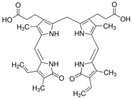 Merck BILIRUBIN