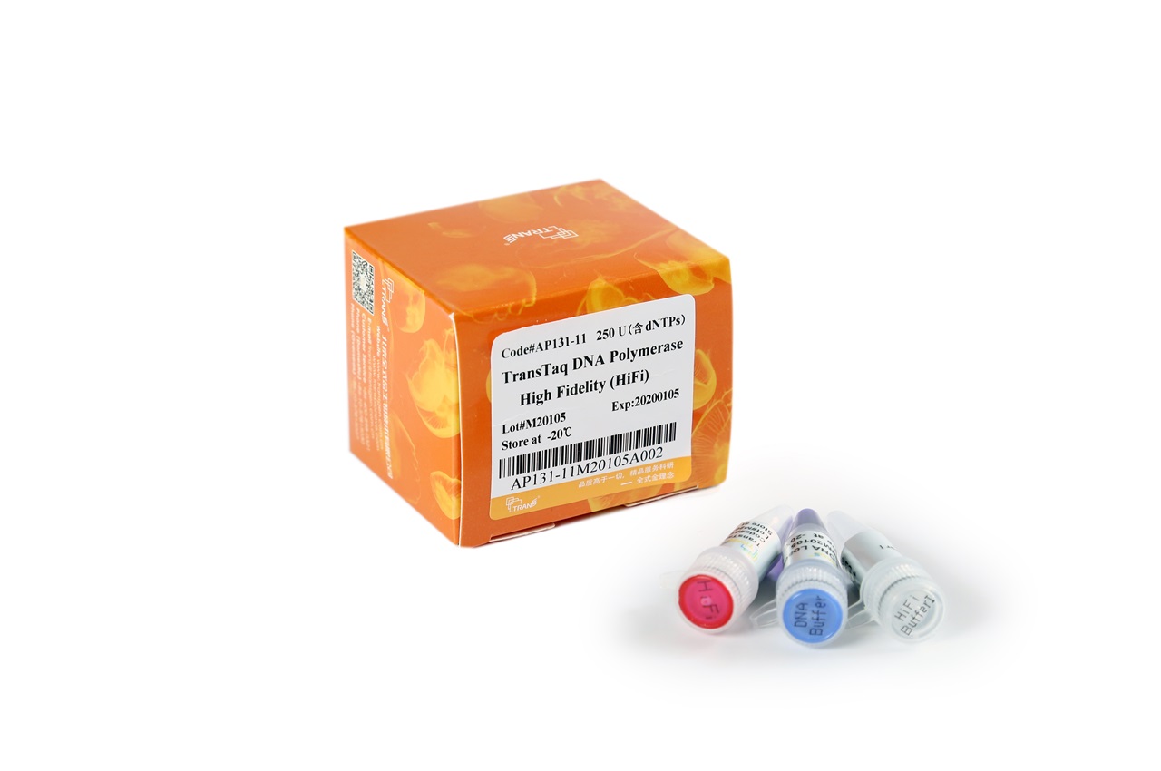TransTaq® DNA Polymerase High Fidelity (HiFi) (with 2.5 mM dNTPs)