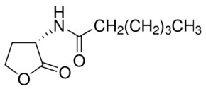 Merck N-HEXANOYL-L-HOMOSERINE LACTONE