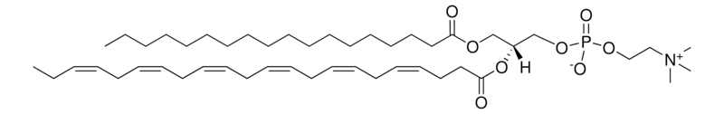 Merck 18:0-22:6 PC