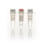 Thermo Fisher Scientific T4 DNA Ligase, HC (30 U/μL)