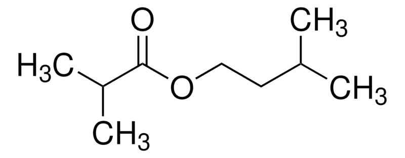 Merck Isoamyl isobutyrate