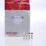 Thermo Fisher Scientific SYTO Blue Fluorescent Nucleic Acid Stain Sampler Kit (SYTO dyes 40, 41, 42, 45)