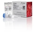 Thermo Fisher Scientific DNase I, Amplification Grade