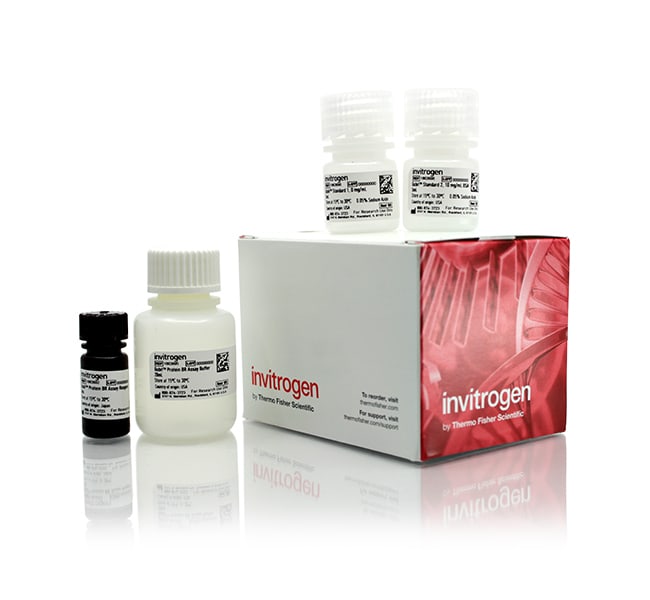 Thermo Fisher Scientific Qubit Protein BR Assay Kit, 100 Assays