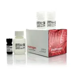 Thermo Fisher Scientific Qubit Protein BR Assay Kit, 100 Assays