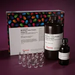 Thermo Fisher Scientific Pierce Modified Lowry Protein Assay Kit