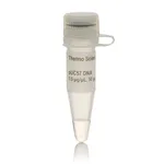 Thermo Fisher Scientific pUC57 DNA