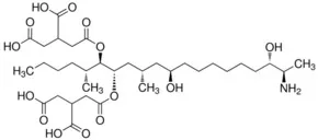 Merck FUMONISIN B3- SOLUTION , 50 5G/ML