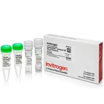 Thermo Fisher Scientific Quantu<u>mRNA</u> Universal 18S Internal Standard