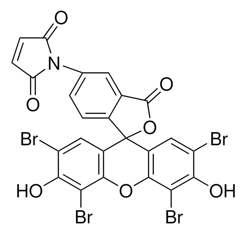 Merck 5-Maleimido-eosin