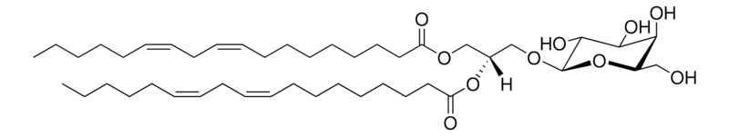 Merck 18:2 MGDG (synthetic)
