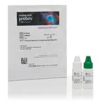 Thermo Fisher Scientific ArC Amine Reactive Compensation Bead Kit (for use with LIVE/DEAD Fixable dead cell stain kits), 1 Kit